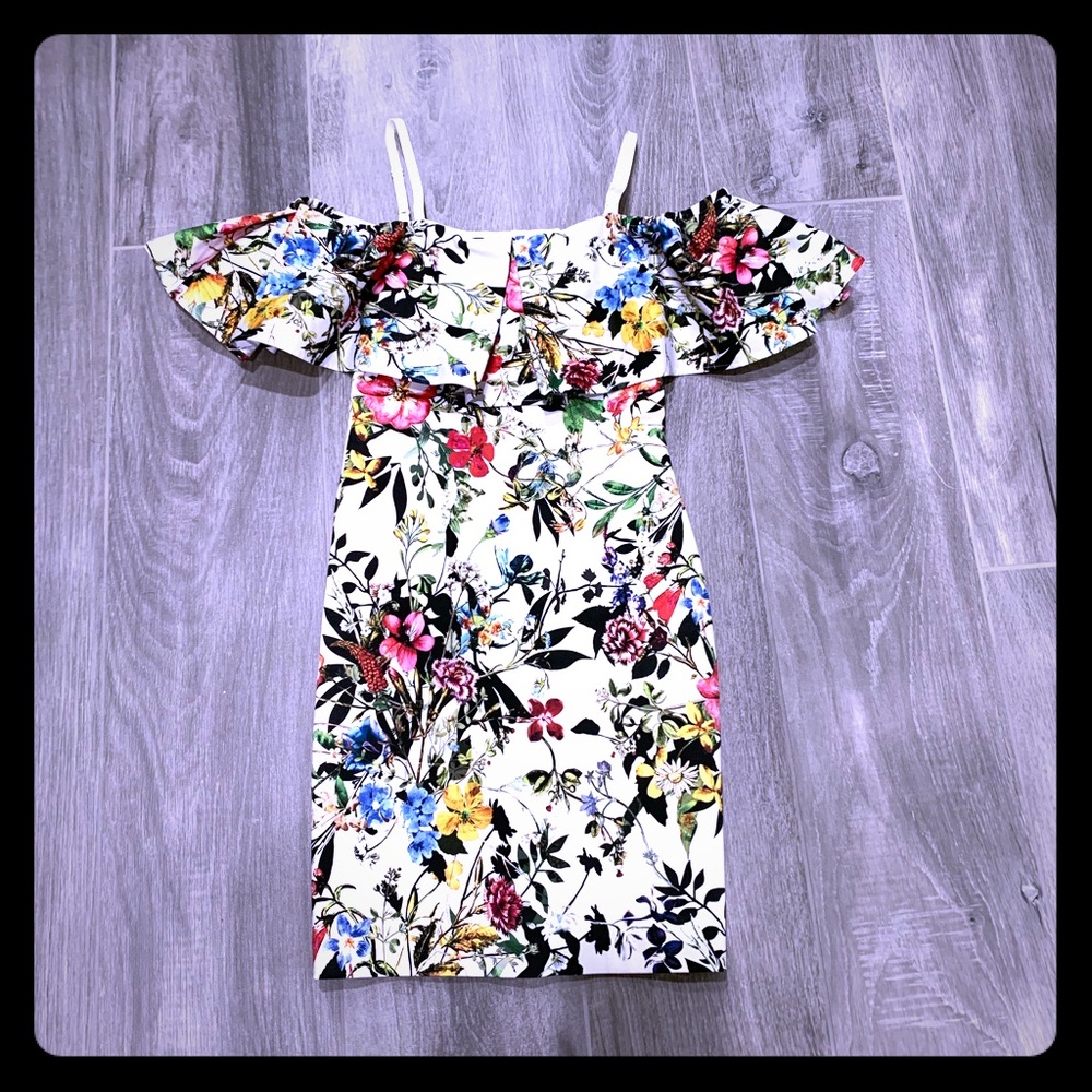 NWT Parker Amazon floral dress - XS